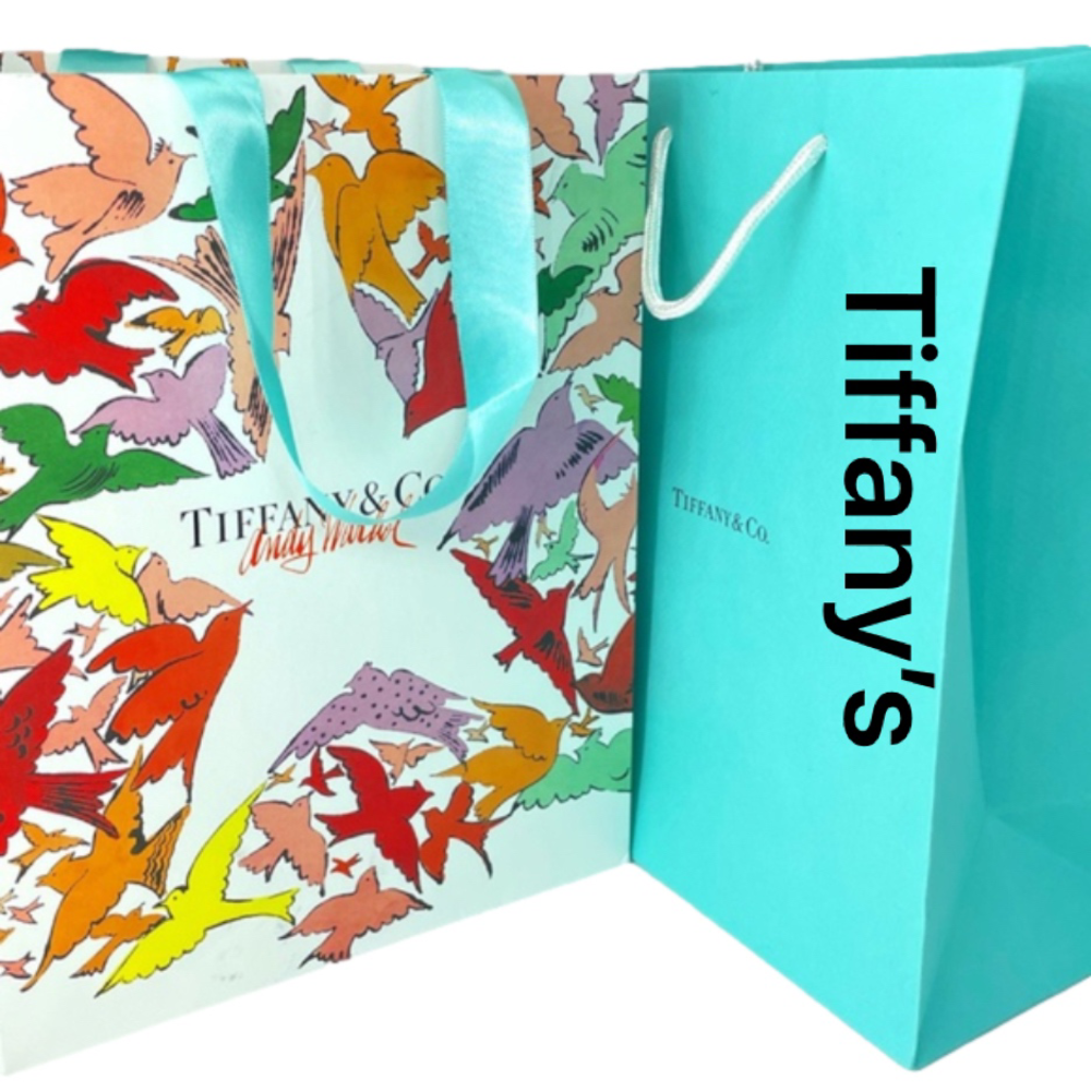 TIFFANY & CO/ANDY WALHOL Limited Edition Gift bag + extra iconic Robin's Egg bag - Picture 2 of 10